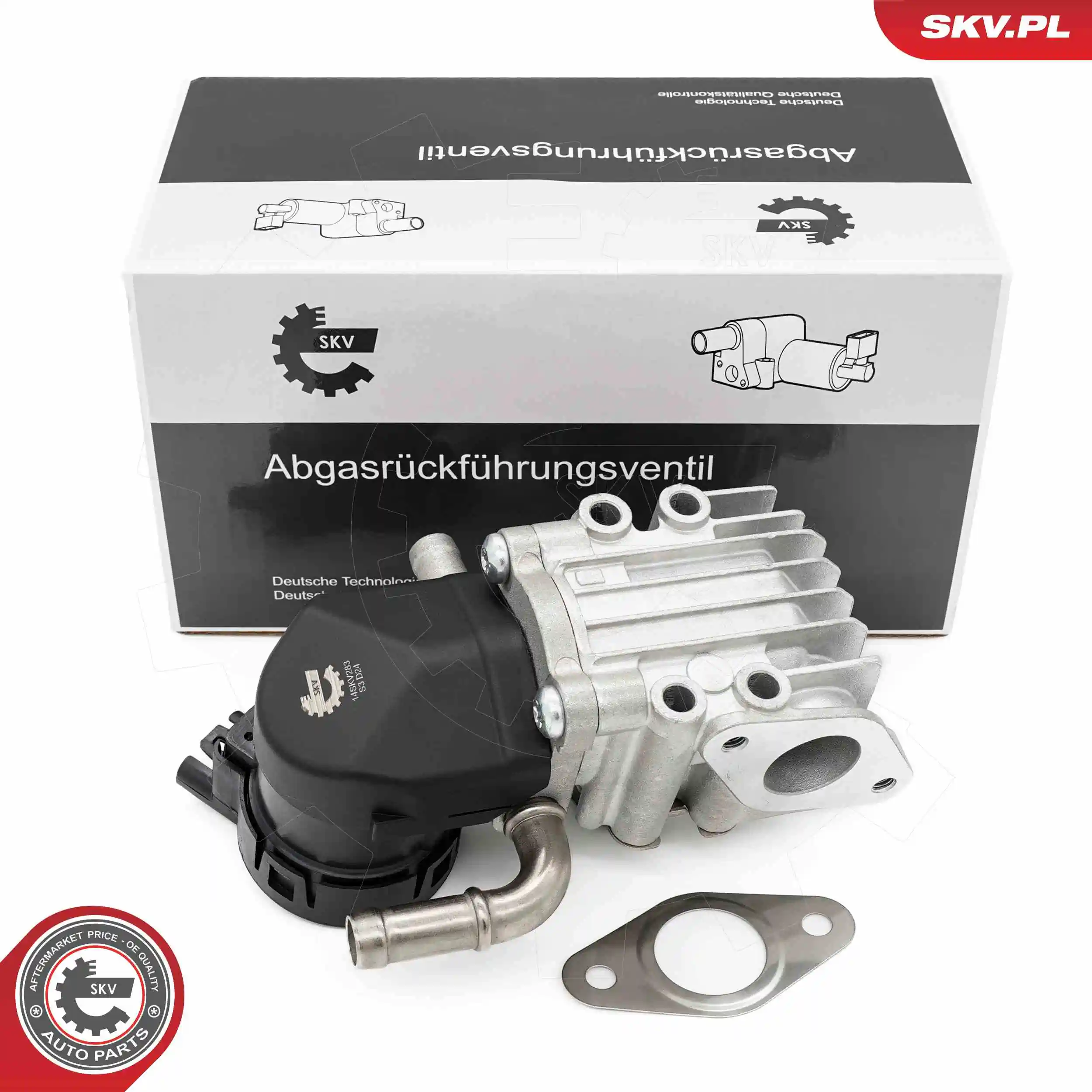 EGR Valve